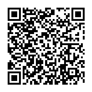 一直飞了将近二十天这还是许紫烟用那双翅膀飞行才堪堪到了中原二维码生成