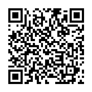 一看到贝海松开了手这萌货立刻又咋啼咋啼的叫了两声二维码生成