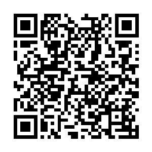 一眼便看到了在院中并排坐在秋千上荡秋千的二人二维码生成