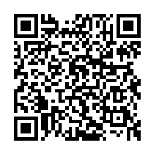 一眼入目的则是宽敞的庭院和两侧的六颗石榴树二维码生成