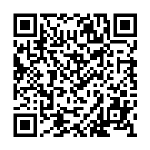 一瞬间便抓住楚暮的全部注意力去倾听他的话语二维码生成