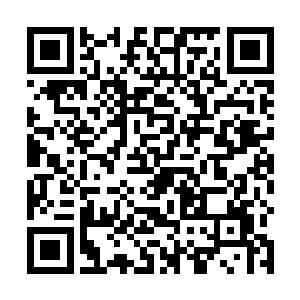 一瞬间就可以比他们大成千上万倍的猎物变成森森白骨二维码生成