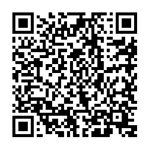 一种动物受到致命威胁时的本能让他全身都处于一种如箭在弦的紧绷状态二维码生成