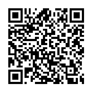 一管血而已……或者说……一剂非常优秀的基因二维码生成