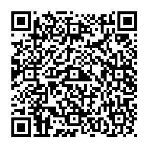 一系列雅致的菜名都让叶秋和楚阳怀疑这些菜到底是不是真的如它表面看起来这么精致二维码生成