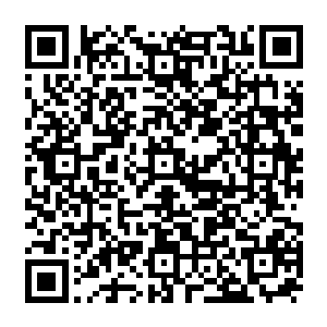 一级战略物资这几个字让黛娜老师眼中的那点希望一下子如寒风中的蜡烛一样熄灭了二维码生成