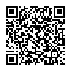 一级武王在他的灭灵绝元面前根本没有任何反抗之力二维码生成