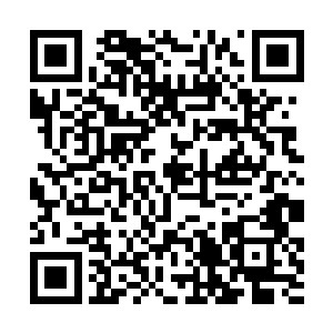 一群穿着比基尼的美女服务生拖着托盘在会场里走动二维码生成