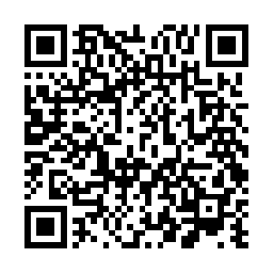 一股上万年前留下的意念气息也传达到了林烽的脑海当中二维码生成