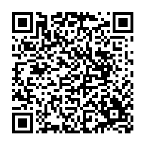 一股仿佛来自九幽之渊的恐怖的寒气也是从玄幽冰蟾的身上散发出来二维码生成