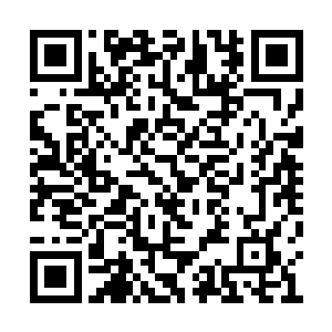 一股剧烈的危机感也再次出现在了蚊血煞的心中二维码生成