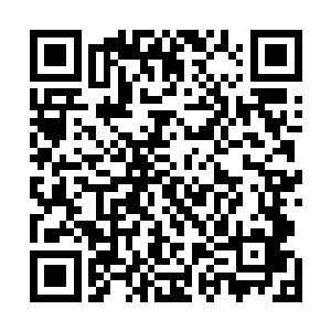 一股大战在即的紧张气氛笼罩着这座位于碧水湖畔的城市二维码生成
