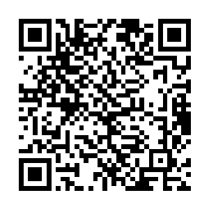 一股带着无尽杀机的气息透过枪柄传入秦宇的身体之中二维码生成