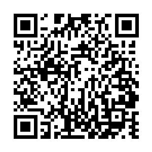 一股强大到极致的能量波动瞬间从轮回之门中席卷而出二维码生成