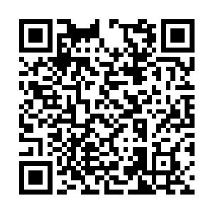 一股恐怖的厚重的气息也从这巨兽的身上散发出来二维码生成