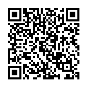 一股恐怖的排山倒海一般的冲击力也瞬间笼罩到了龙傲天的身上二维码生成
