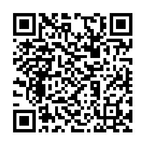 一股恐怖的杀伐的气息也是从他们的身上散发出来二维码生成