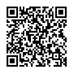 一股恐怖的狂暴的能量也瞬间直接从杨戬的体内疯狂的暴动起来二维码生成