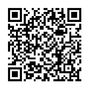 一股无比强烈的刀气从霸刀门后山的禁地中传出二维码生成