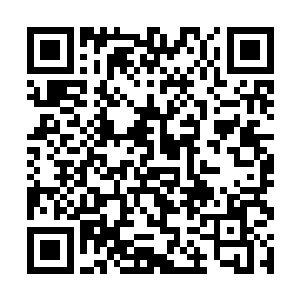 一股格格不入的感觉从塞蒂娅和蒂娜的心中油然而生二维码生成