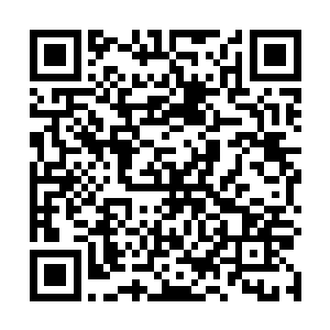 一股淡淡的生机也开始缓缓的从沈天的体内缓缓的升起二维码生成