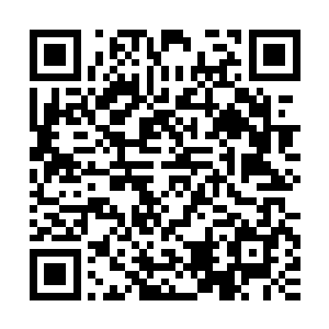 一股狂暴的鬼气犹如是无数利刃般朝着结界之外的无尽阴鬼而去二维码生成