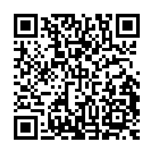 一股股可怕而又冰冷的白色能量也开始在插翅虎的嘴中不断聚集二维码生成