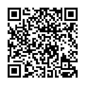 一股股浓郁的五行之力的气息也分别从五面小旗子上面散发出来二维码生成