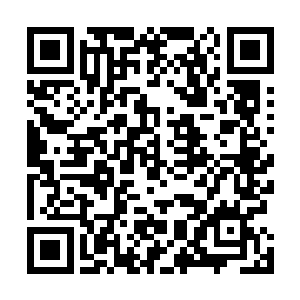 一脸平静的保罗到了这个时候脸上才微微显现出一丝激动二维码生成