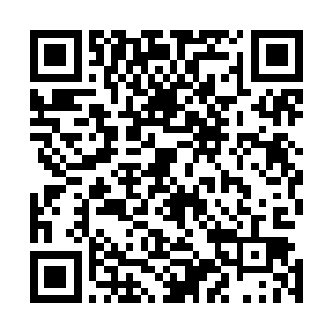 一脸海水而且被冻的缩成一团的左大鹏从栈桥下面钻了出来二维码生成