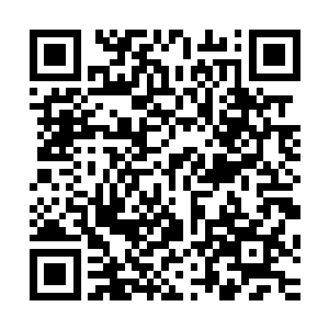 一般情况下它感觉到震动过后也只会在一刻钟的时间反应过来二维码生成