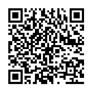 一般来说一个漏洞的检测跟价格评估也就是不到二十分钟的事情二维码生成