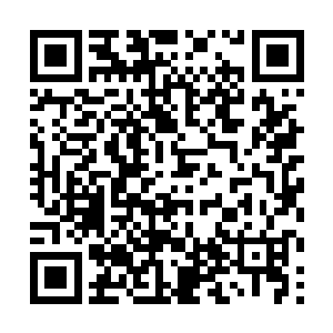 一般的战士顶多用一下精神爆破影响对手就算不错了二维码生成