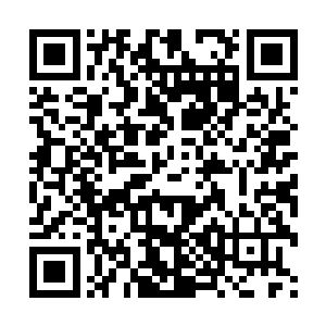 一行人在雷天强大飞行灵器的笼罩下来到了诺顿家族的山门外二维码生成