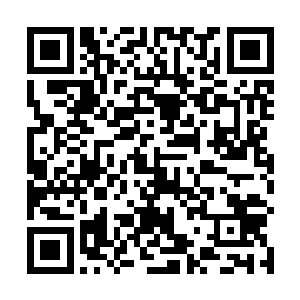 一贯在岛上都怯生生的校盗艾肯勒在水里就是浪里白条二维码生成