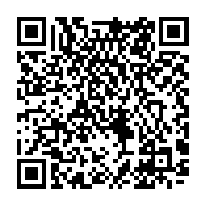 一起挪到了那变形成了好似给弯成圆形的树心量身定做的托台上都很没啥反应二维码生成