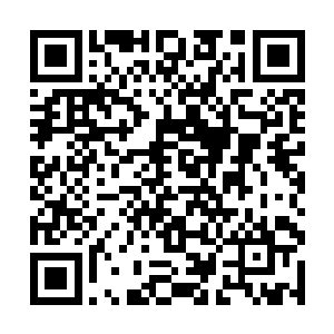 一起灌注到普通人脑海里的话恐怕会令对方直接爆脑二维码生成