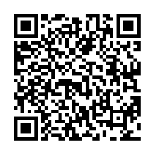 一路上梓箐只遇到几座如同白玉一样的石头垒砌的平房二维码生成