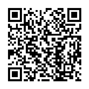 一路从大师级升到至尊境层次都没有出过一次意外二维码生成