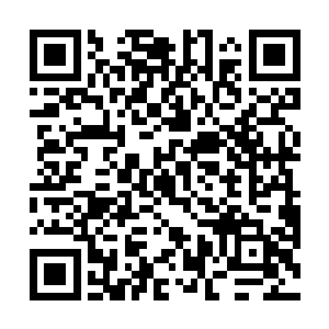 一边儿玩去别在想着伤害小太和小红了它们要孵宝宝呢二维码生成