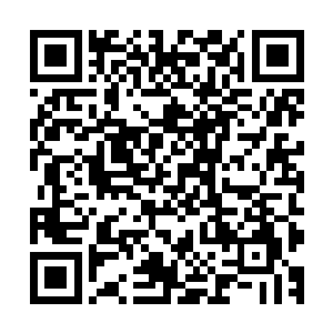 一边则是开始了自己的忙碌了……双手也是不断的活动了起来二维码生成
