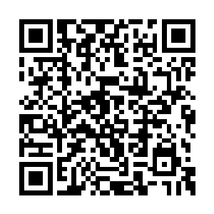 一边用坚定无比的目光看着柔情无限的苏雨果道二维码生成