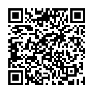 一边讲澹台璃一边从他上衣口袋里摸出一个护身符递给我二维码生成