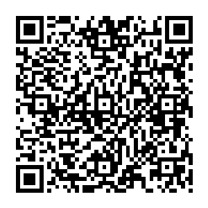 一道紫色的雷龙瞬间带着一股恐怖的毁天灭地的气息狠狠的朝着下方的血神的身上笼罩过去二维码生成
