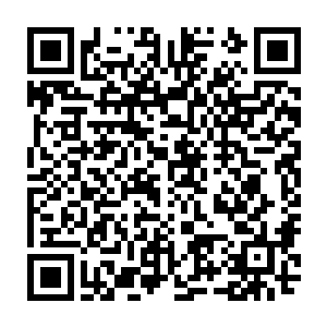 一道细小的金属触角仿佛一枚毒针一般射中了它后脑勺上的特殊金属锁链上二维码生成