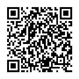 一道莫名的波动从巨树附近的阵法中传递到华夏九魂海之中二维码生成