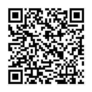 一道道强烈的血红色光芒从仙界开始朝着下面的世界蔓延二维码生成