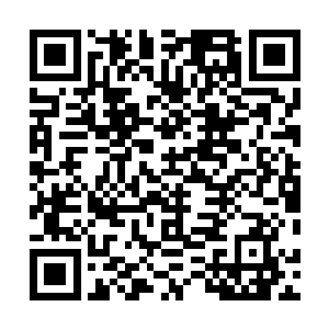 一道道混乱的数据洪流将它的虚拟神经网络堵得严严实实二维码生成