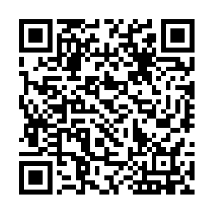 一道道璀璨至极的金光也从那样貌战衣之中激荡而出二维码生成