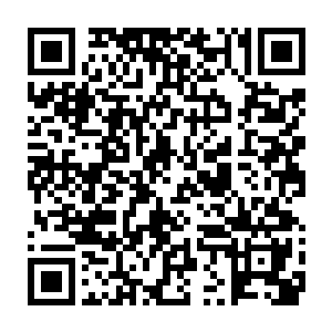 一队人拖着什么东西沿着沼泽专门走有白骨标识的地方慢慢走过来二维码生成